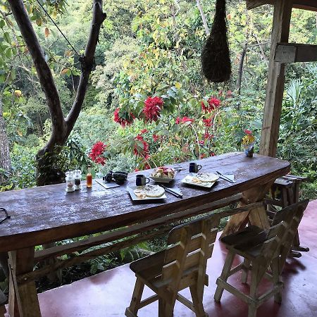 Finca San Rafael - Cafe Y Cacao Минка Екстериор снимка
