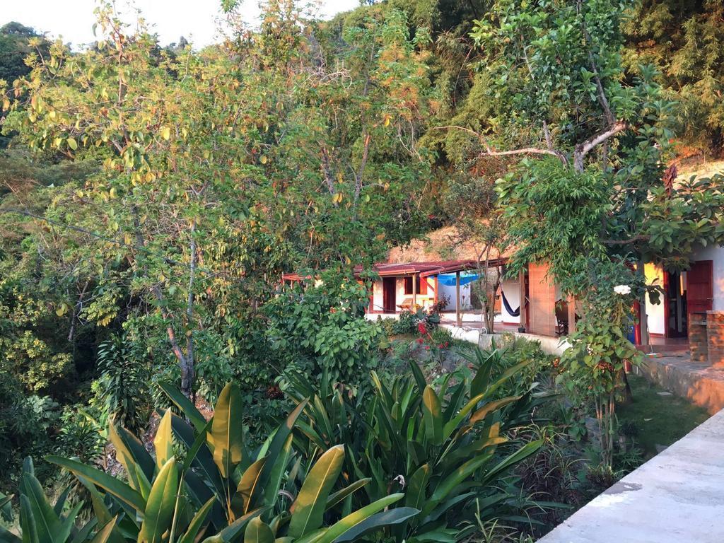 Finca San Rafael - Cafe Y Cacao Минка Екстериор снимка