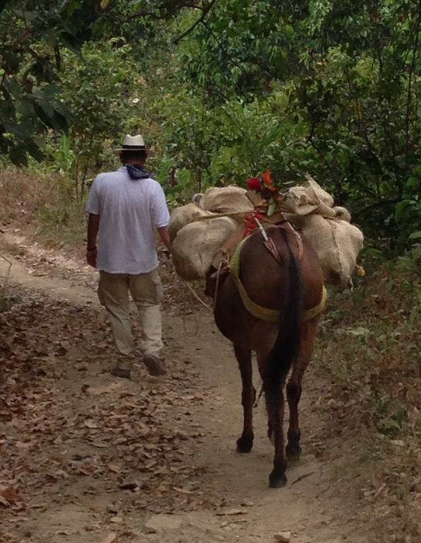 Finca San Rafael - Cafe Y Cacao Минка Екстериор снимка