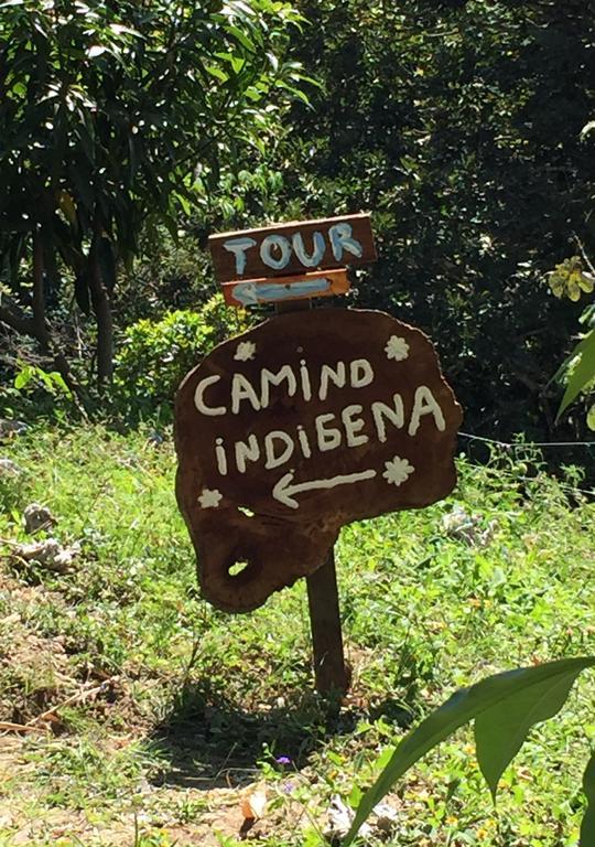 Finca San Rafael - Cafe Y Cacao Минка Екстериор снимка