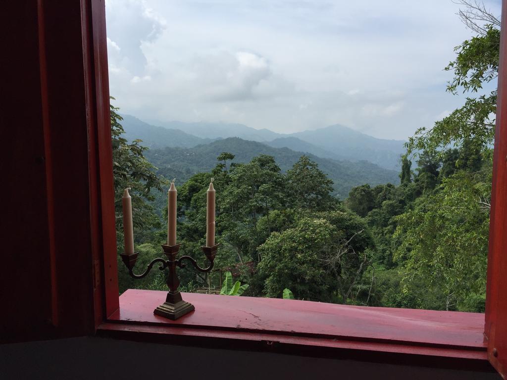 Finca San Rafael - Cafe Y Cacao Минка Екстериор снимка